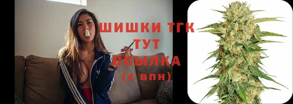 гидра Анжеро-Судженск