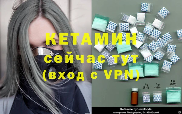 гидра Анжеро-Судженск