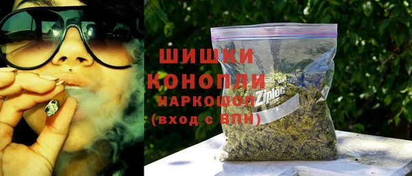 прущие грибы Арсеньев