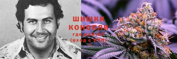 МДМА Анива